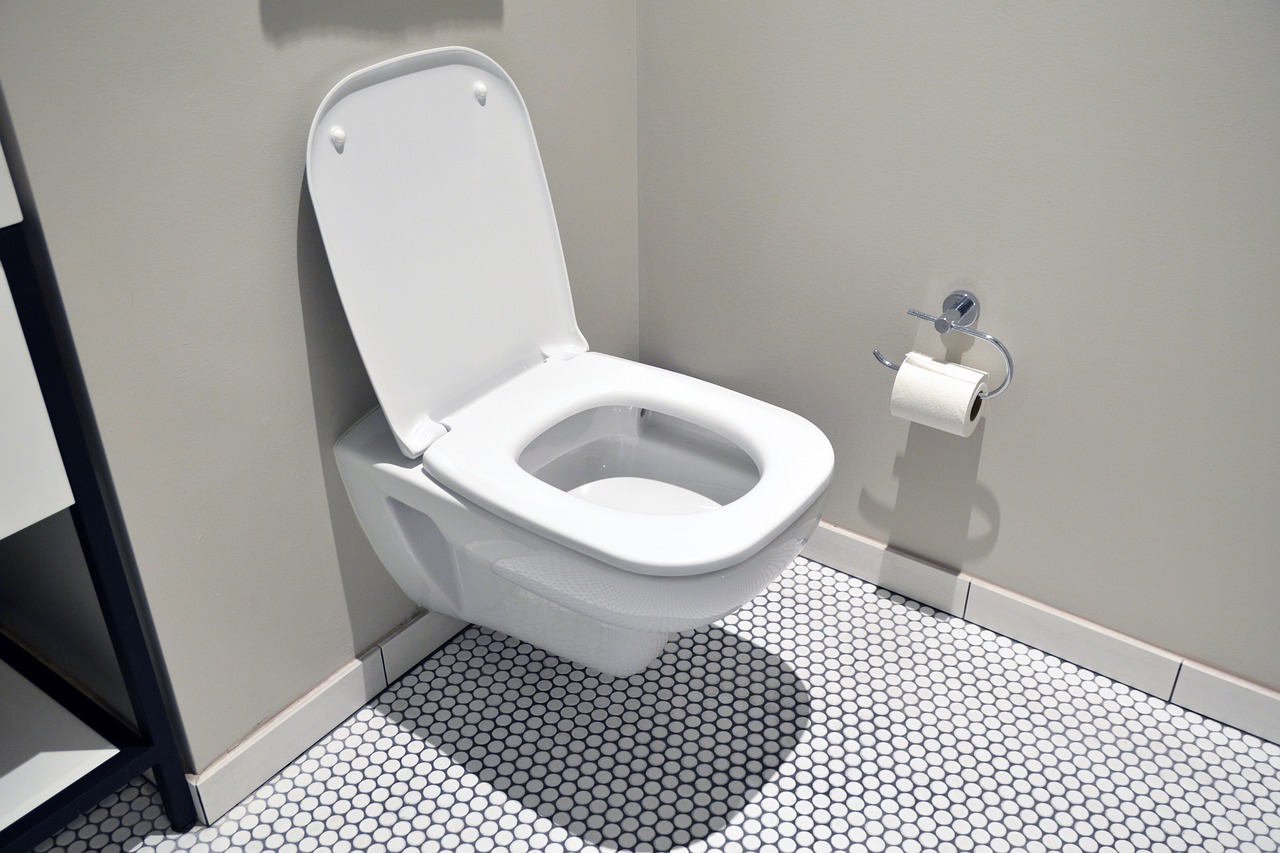 hotel, toilet, white-5871016.jpg